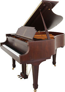 Essex Flügel EGP160 WPLS by Steinway & Sons - Nr. E100522 Bj. ca 2005 - TOP!