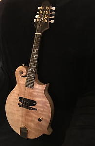 CHAFIN CUSTOM BUILT 8 STRING MANDOLIN, SWAMP ASH SLAB, BEAUTIFUL, LOOK YOU TUBE