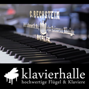 C.Bechstein Flügel, Modell V / B, 203cm, schwarz poliert - 5 Jahre Garantie