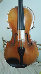 Viola 40,5 cm