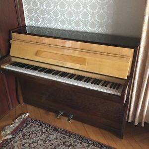 Wunderschönes EUTERPE Klavier mit lackiertem Holz