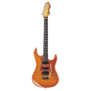 CHITARRA BLADE CALIFORNIA CUSTOM CC-EG HB HONEY BURST c/astuccio