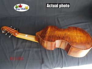 Baroque Style SONG Maestro 6 string 15 1/2"  viola da gamba perfect sound #11185