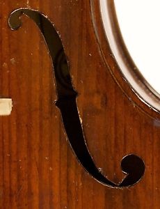 schön 4/4 VIOLIN  geige violon  小提琴 バイオリン AMAZING! cello viola PEDRINELLI