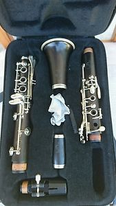 Superbe clarinette Buffet Crampon R13