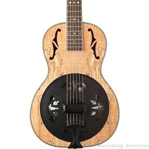 Washburn R360smk