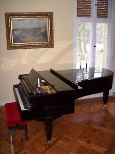 Lauberger Konzert Flügel Stutzflügel Salonflügel Grand Piano Pianoforte Steinway