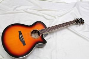 Ibanez AEG10 Aco