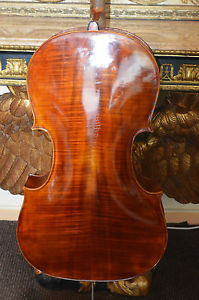 breites Model Rötlich selten Cello Celli Korpus 74,7cm