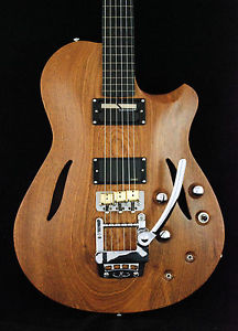 Eliasson Handmade Custom Hollowbody Fretless Electric Guitar Sitar