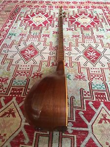 Beautiful Jazayeri Setar Persian Instrument Special Edition concert Sitar Sehtar