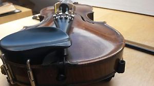 Violin. Ruggeri Copy.