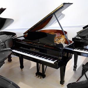 Used Steinway Model O Grand Piano