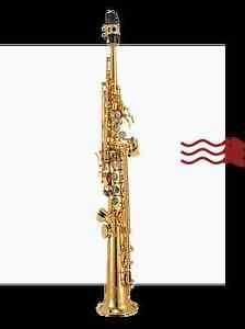 P MAURIAT System