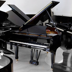 Steinway & Sons Model M Grand Piano - Polished Ebony