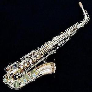 Yanagisawa Alto Sax  A-WO2 w/ case  EMS 2-3weeks arrive!
