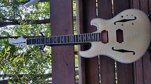 2016 Flamed Maple Ollandoc Hollow Body Guitar - KEY WORDS Trey Phish Languedoc