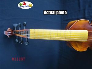 Broque style SONG Brand Maestro 6 strings15 1/2" viola da gamba #11187
