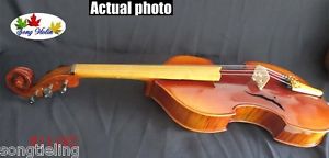 Baroque style SONG Brand Master 5 strings 20"viola,big and powerful sound #11182