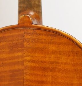 vorbildlich! alte 4/4 Geige Violin Zettel: G.PISTUCCI 1888 violon チェロ 大提琴