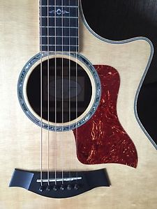 2013 Taylor 814CE Mint 1 Piece Rosewood Back, Maple Binding! Beautiful!!