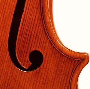 schöne 4/4 VIOLIN  geige violon  小提琴 バイオリン AMAZING! cello viola PEDRAZZINI 1926