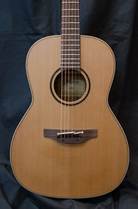 Takamine Pro P3N