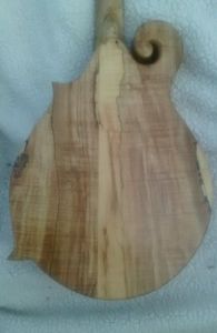 Instrument # 264 fine handcarved f mandolin luthier burgess