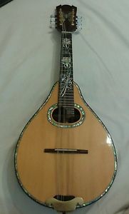 Beautiful pearl mandolin and case (PERFECT condition)