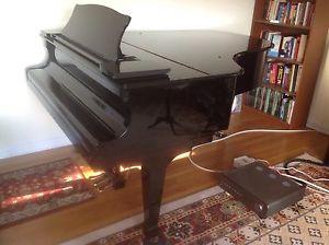 KAWAI RX-5 Grand Piano With bench