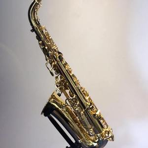 Yanagiawa Alto Saxophone AWO10 (Brass Sax, Including Case, A-WO10)