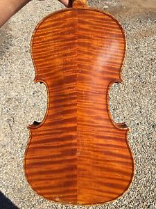 Violin Violon Geige Ancien