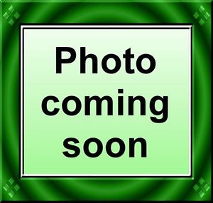 SHELDON TRUETONE TT-1 2x12 HANDWIRED BRITISH GUITAR AMP COMBO