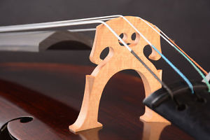 Special Offer! An Best Cello 7/8 Size Deep Tone,Size for lady Use