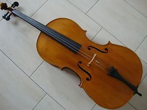 Cello 4/4 G. Bertoni