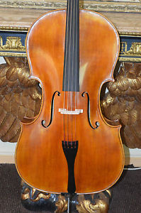 breites model selten Cello Celli Korpus 74,8cm