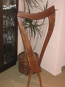 Beautiful Wood 22 String Harp Padded Carrying Case Tuning Instrument Music Book