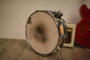 DW Edge Maple Brass Snare Drum