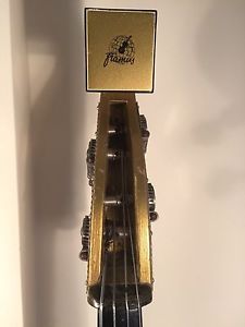 Framus vintage upright electric bass 4/60 - Bean Pole / Triumph