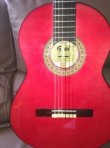 Preciosa Guitarra flamenca Francisco BROS