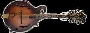 Michael Kelly Dragonfly Mandolin HSC and extras!! Dark Distressed Antique Finish