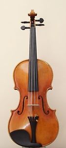 Violino 4/4 mod Guarneri - Violin
