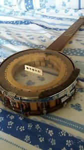 Left handed 5 string banjo.