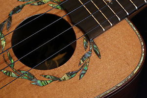 CUSTOM I'IWI BRZ RSWD CONCERT UKULELE / Studio Recording at Ukulelefriend.com