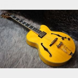 Ibanez Pm2 AA Pa