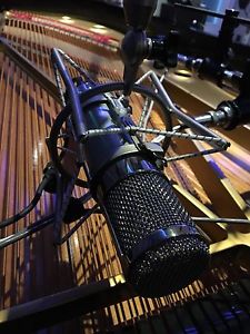 Bock 251 Tube microphone