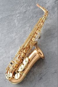 Yanagisawa A-WO2 (AWO2) Alto Saxophone (NEW) from Japan Free shipping