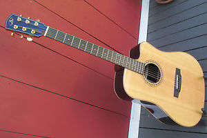 Bedell TBCE-28-G Performance All Solid Wood Acoustic-Electric Cutaway Dread &Bag