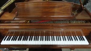 2004 steinway M player grand walnut piano Crown Jewel pianodisc