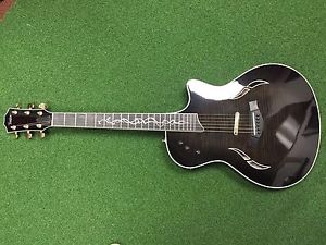 Taylor T5 Custom Transparent Edgeburst W/Gotic Vine Inlay Acoustic/Electric RARE